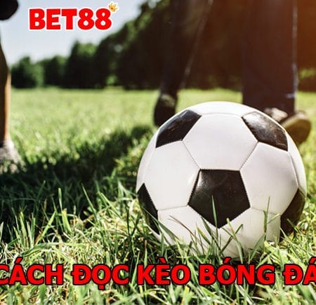 Hướng dẫn cách đọc kèo bóng đá dễ hiểu cho người chơi mới