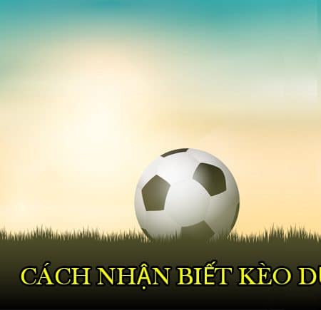 Hướng dẫn cách nhận biết kèo dụ trong bóng đá trực tuyến