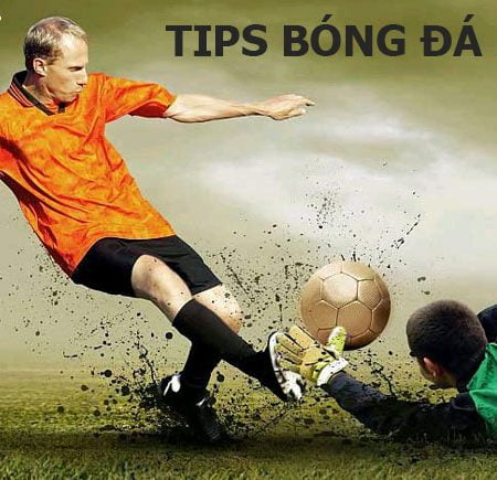 Cùng tìm hiểu các loại Tips bóng đá tại nhà cái hiện nay