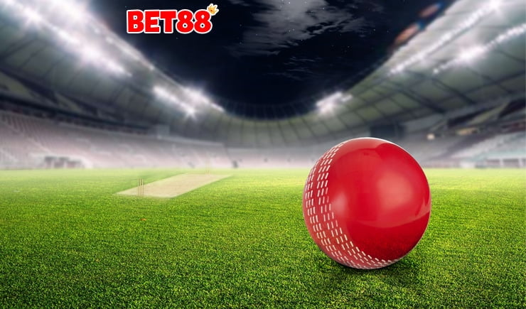 Những câu hỏi trong cá cược online được người chơi nhắc đến